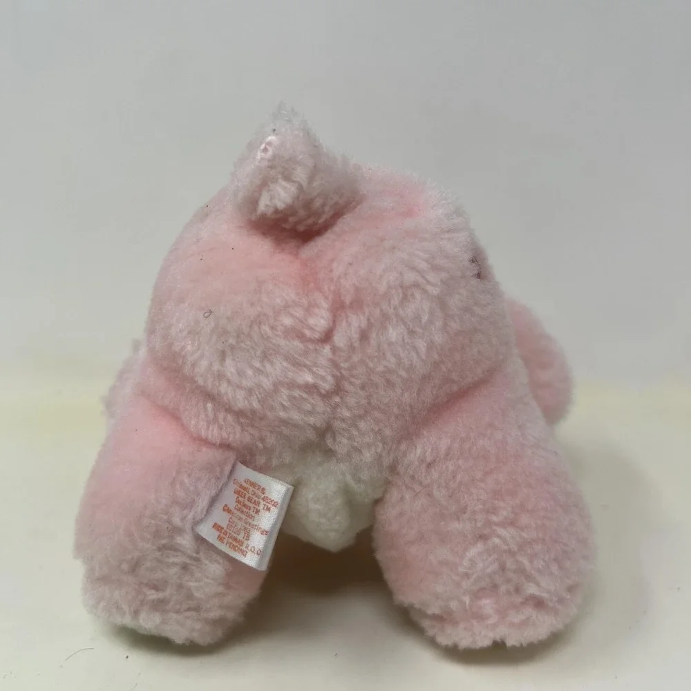 Care Bears brand care